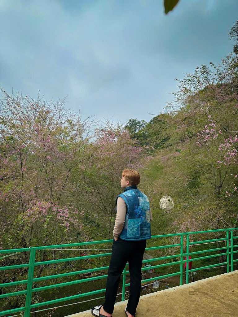 Ảnh chân dung Nguyễn Hiếu